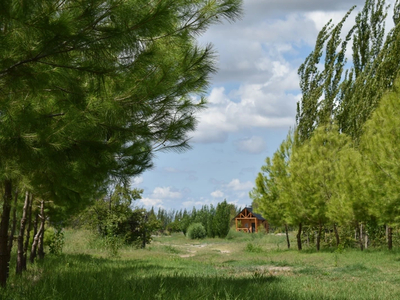 Hospedaje rural. Cabañas en finca La Vilina, Rama Caída, San Rafael, Mendoza, Argentina