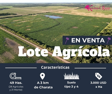 Campo Agrícola - Charata Chaco
