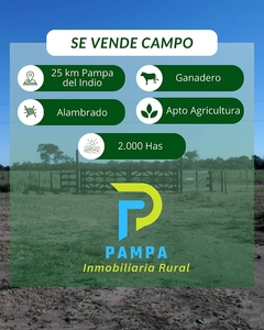 Venta 2.000 Has - Pampa del Indio - Chaco
