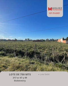 Lote en Venta en Ángel Etcheverry sobre calle 217, buenos aires