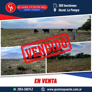 En Venta 200 Has Hucal, la Pampa.-