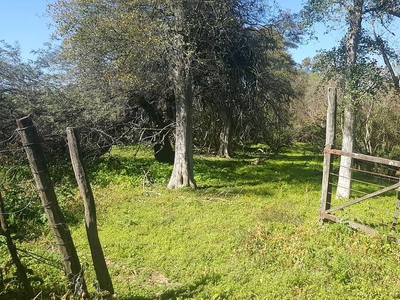 Campo Ganadero en Rivadavia Banda Norte