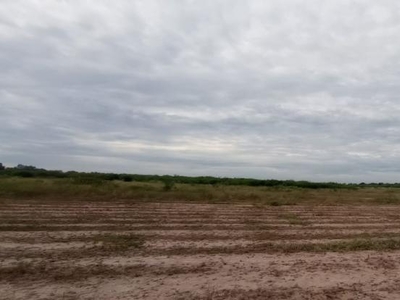 Campo en Venta en Castelli, Chaco