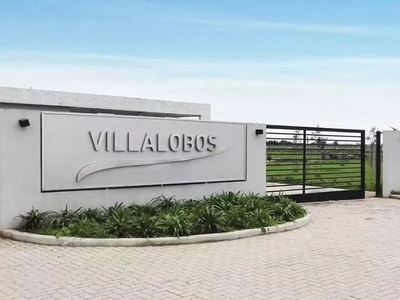 Villalobos 364