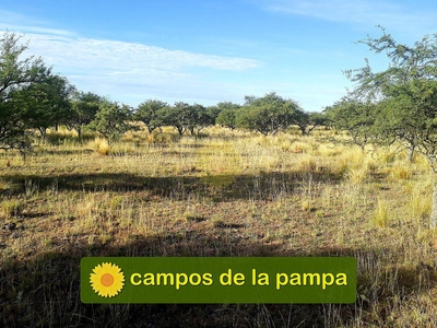 La Pampa - Venta 5.000 Ha - Depto Toay - M.b. Estancia