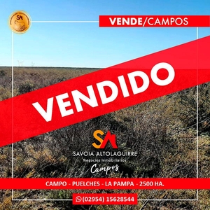 Vende: Campo de 2500 Ha Ganaderas en Puelches la Pampa