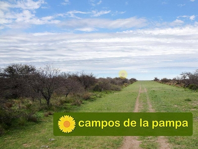 Venta Campo Ganadero 10.000 Ha Utracán - la Pampa