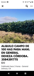 Dueño Alquila 100 Has para Maní en General Deheza, Córdoba.
