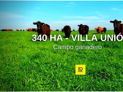 340ha Ganaderas - Villa Unión