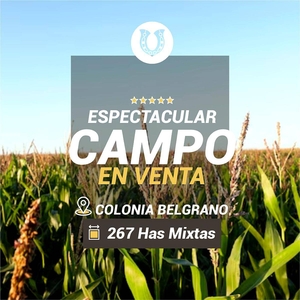 Colonia Belgrano 267 Has Mixtas. Espectacular Campo en Venta