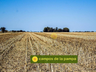 La Pampa - Venta 135 Ha D. Catriló - muy Buen Campo Agrícola