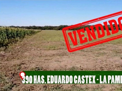 En Venta 380 Has Eduardo Castex, la Pampa.
