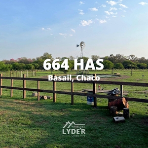 664 Has Ganderas en Basail Chaco