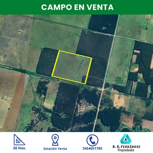 Campo Apto Forestal / Ganadero / Agrícola