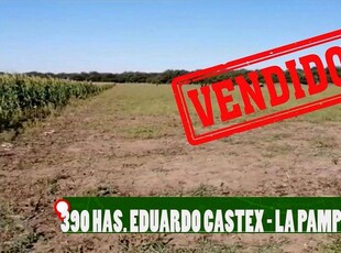 En Venta 380 Has Eduardo Castex, la Pampa.