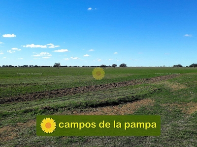 La Pampa - Venta 200 Ha Ataliva Roca - Decisión Inmediata