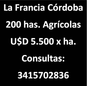 Vendo 200 Hectáreas Agricola
