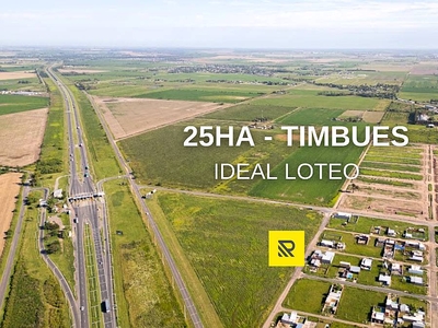 25ha Timbues - Ideal Loteo