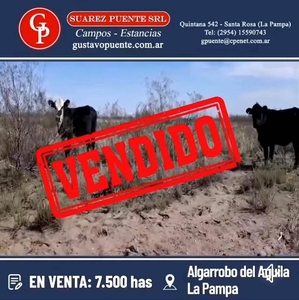 En Venta 7.500 Has en Algarrobo del Aguila, la Pampa.-