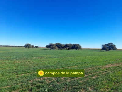 La Pampa - Venta Campo Agricola de 415 Ha en Dpto Capital