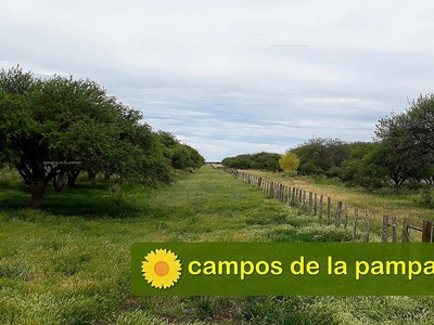 La Pampa - Venta S.A. Campo Ganadero 1.250 Ha D. Utracán