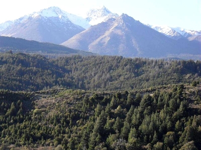 Cordillera Patagonica – Comarca Andina
