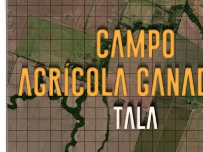 Campo en venta ruta provincial n°15 - las guachas - tala, Rosario del Tala
