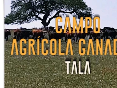 Campo en venta ruta provincial n°15 - las guachas, Rosario del Tala