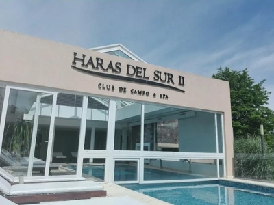 Haras del Sur II