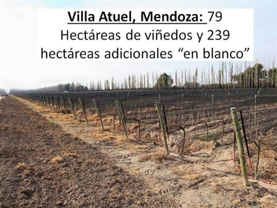Exclusiva Casa rural de 3160000 m2 en venta Finca La Vasconia, Villa Atuel, Provincia de Mendoza