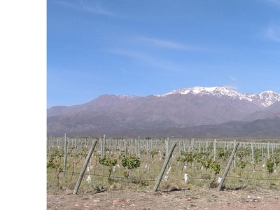 Terreno / Solar de 1200 m2 - Vista Flores, Provincia de Mendoza