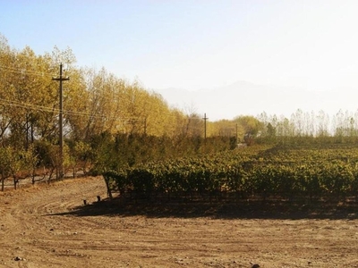 Terreno / Solar de 300 m2 - Los Sauces, Provincia de Mendoza