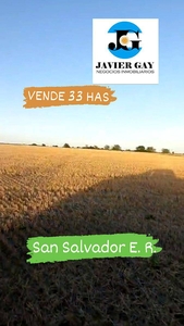 Vende 33 Has Agricolas en San Salvador e R