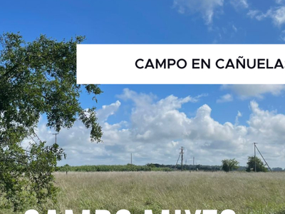 Campo en venta ruta 3 km 72, Canuelas