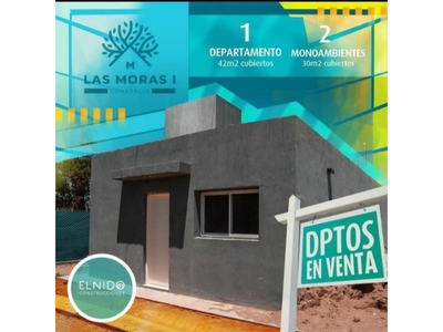 En Venta Departamento, 1 Dormitorio, De 42 M2 - Las Moras I - Rivadavia