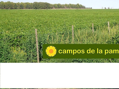 La Pampa - Venta Campo 600 Ha Cultivables - Dpto. Capital