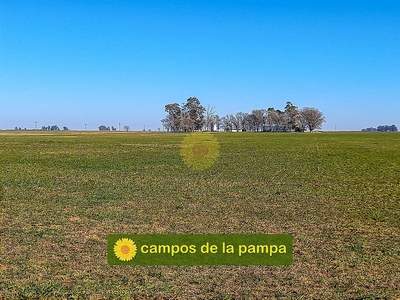 La Pampa - Venta Campo Ganadero 415 Ha D. Quemú Quemú