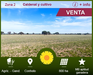 La Pampa - Venta Campo Mixto 800 Ha D. Conhelo - Financiado