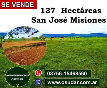 137 Hectáreas - San José Misiones