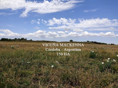 Vendo 150 Has Mackenna, Mixto