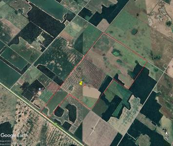 Se Vende Campo Muy Buen Precio 321 Ha Campo Agricola Chaco Gral Pinedo Acceso Por Ruta.