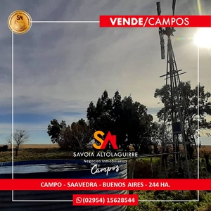 Vende Campo 244 Ha Agrícolas/ganaderas en Saavedra, BS AS.