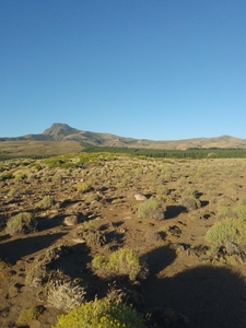 Terreno en Venta en Junin De Los Andes, Neuquen