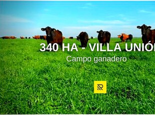 340ha Ganaderas - Villa Unión