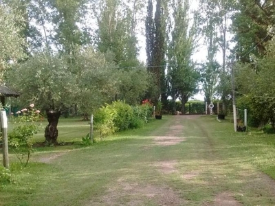 Quinta en Venta en Villa Seca Maipu, Mendoza