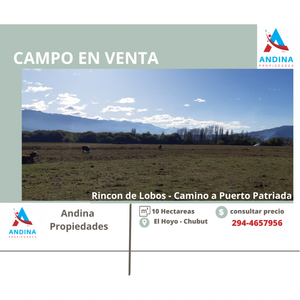 Campo en Venta en El Hoyo, Chubut