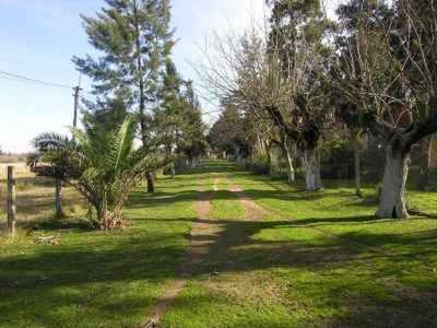 Campo en Venta en Pontevedra Pontevedra, Buenos Aires