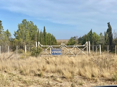 Campo en Venta en Puerto Madryn, Chubut