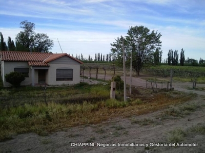 Quinta en Venta en San Rafael, Mendoza
