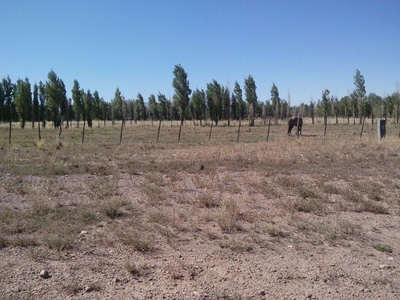 Terreno en Venta en San Alberto Uspallata, Mendoza